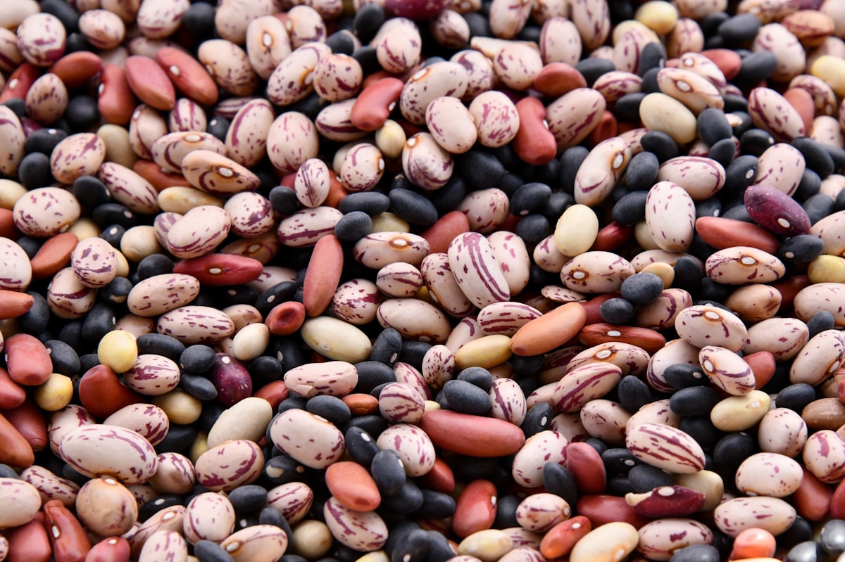 Fiber and nutrient absorption